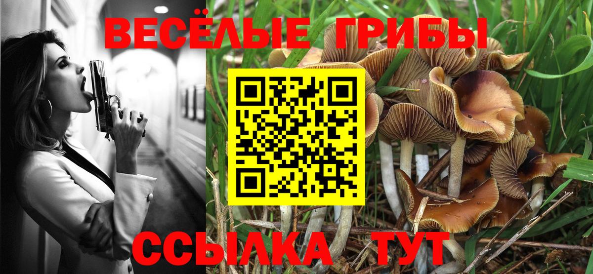 закладки  Псилоцибиновые грибы Magic Shrooms  Вход с VPN  Медногорск 